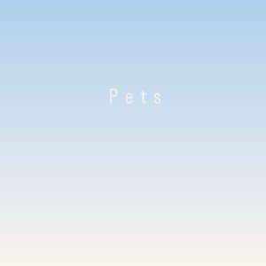 Puppy and Small Dog Items